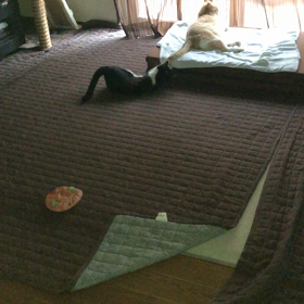 遊んであげるよの画像