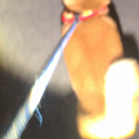 11歳のの画像