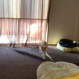 遊ぼうの画像