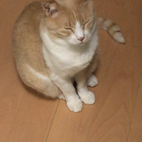 眠いの画像