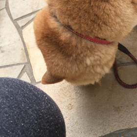 脱走の画像
