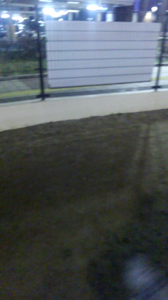ドッグランおっかけっこの記事動画