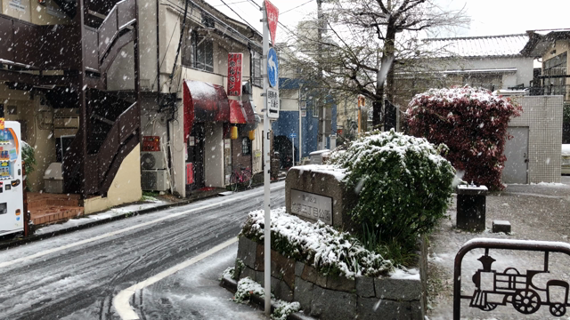 桜に雪の記事動画