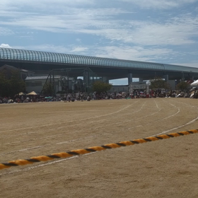 見ごたえがあった運動会でしたの画像