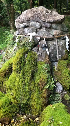エステメンバーと遠足へ行ってきました～その１  亀岡にある出雲大神宮の記事動画