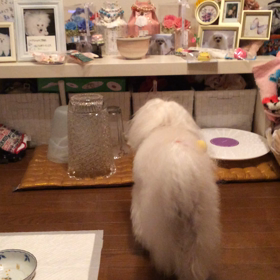 寂しくて、逢いたくて…の画像