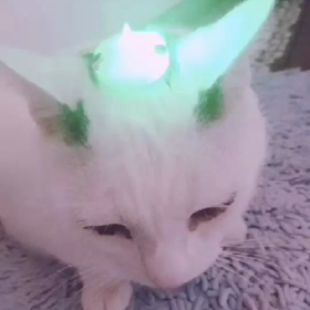 こんな天気の日の麻呂くんの画像