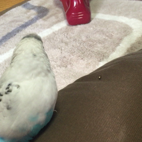 会話成立❗️パシャパシャしたか編の画像
