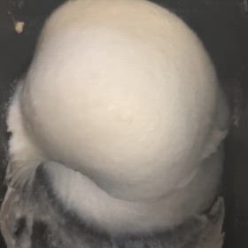 うまく行きますようにの画像