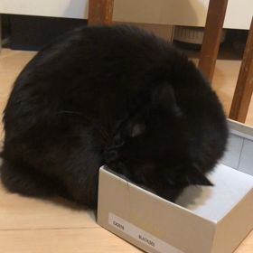 恍惚の画像