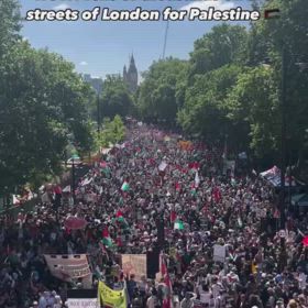 パレスチナ　ロンドンの画像