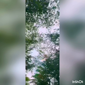 ドライブの画像