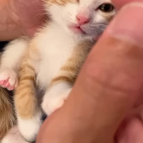 ねむねむ♡の画像