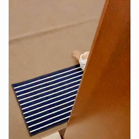 ねむねむアイビー♡の画像