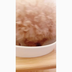 アイビーの大好物♡の画像