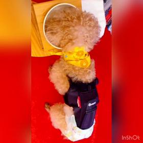 もぐもぐ　アイビー♡の画像