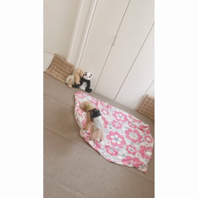 はじめまして♡の画像