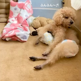ごきげんなアイビーたん♡の画像