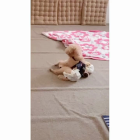 仲良しさん♡の画像