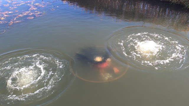 ガジローの記事動画