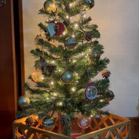 クリスマスツリーを飾り、チューリップの球根を植えましたの画像