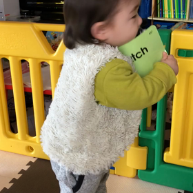 今日もの画像
