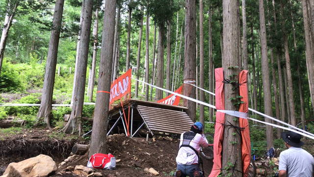 16歳になりましたの記事動画