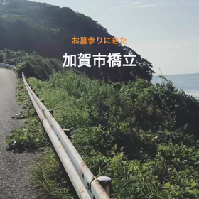 8.11の画像