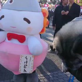 魚ジャパンフェス2025の画像