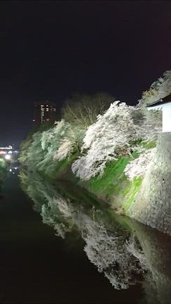 1分ホラー「公衆トイレ」。。。の記事動画