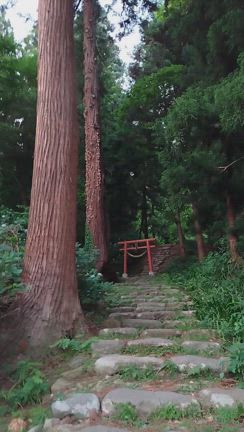 一休み。。。の記事動画