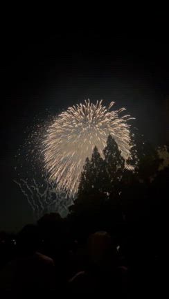 プールと花火の記事動画