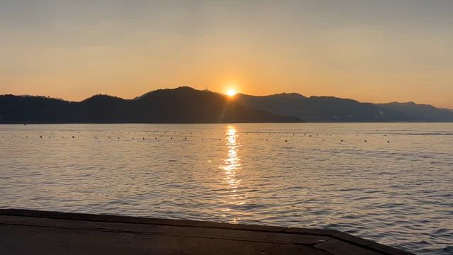 広島2日目　宮島の記事動画