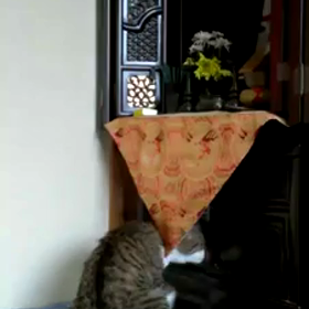 あのの画像