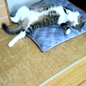 おいの画像