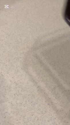ソイビューティーでスノーボールクッキーの記事動画
