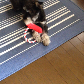 おもちゃ(^o^)の画像