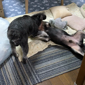 寝転びながら…(￣▽￣;)の画像