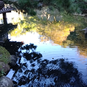 紅葉渓庭園の画像