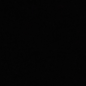 ホタルの画像
