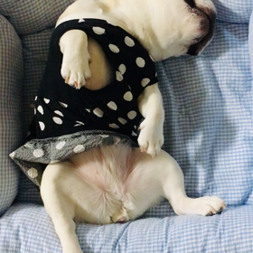 女の子ですの画像