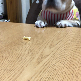 休日の画像