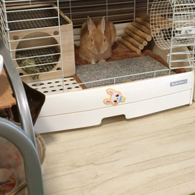 人間みたい（≧∇≦）の画像