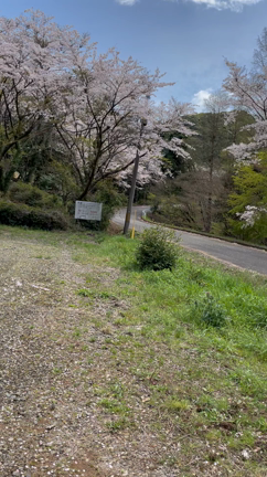 いつぶりだ？の記事動画