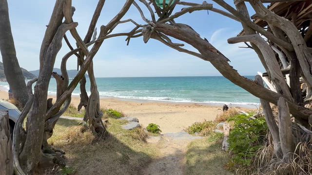 ドッグラン、ビーチカフェSUNSETの記事動画