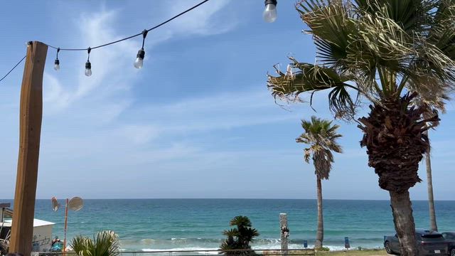 ドッグラン、ビーチカフェSUNSETの記事動画
