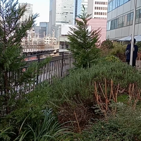 にわか撮影隊出動の画像