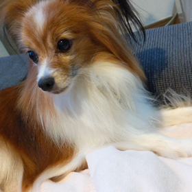 ぱぴんこ初動画☆固まるの画像