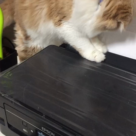 カタカタカタと動く音の画像