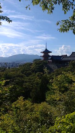家族全員に却下されましたの記事動画